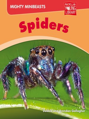 cover image of Spiders